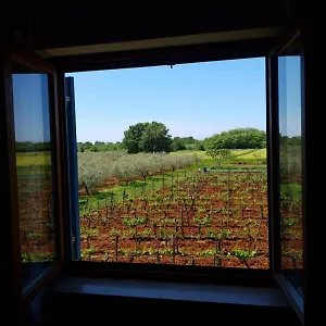 Apartment&rooms Hacienda Stelio Porec